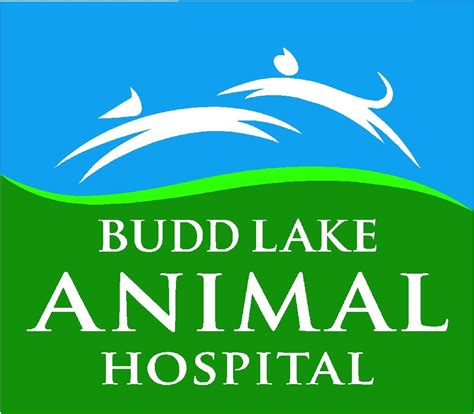 Budd lake animal hospital - Job posted 7 minutes ago - Veterinary Innovative Partners is hiring now for a Full-Time Veterinarian - Budd Lake Animal Hospital in Hackettstown, NJ. Apply today at CareerBuilder!